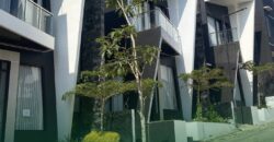 Arrayan Executive